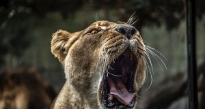 10 Ways to Make Extra Money as a Graphic Designer